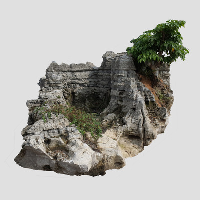 黑花石樹缽