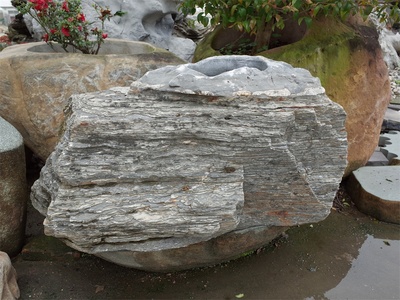 黑金花樹缽